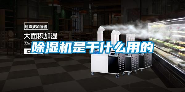 茄子视频懂你更多在线观看是干什么用的