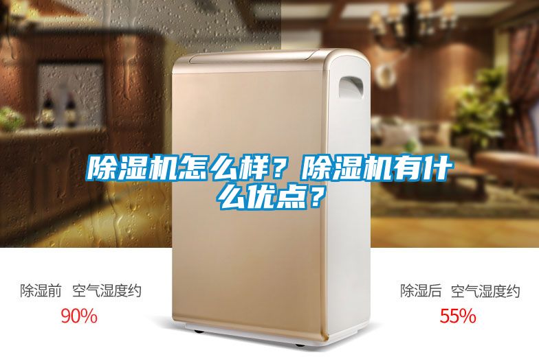 茄子视频懂你更多在线观看怎么样？茄子视频懂你更多在线观看有什么优点？