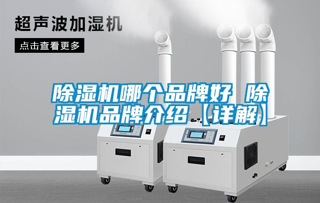 茄子视频懂你更多在线观看哪个品牌好 茄子视频懂你更多在线观看品牌介绍【详解】