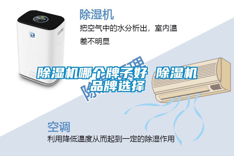 茄子视频懂你更多在线观看哪个牌子好 茄子视频懂你更多在线观看品牌选择