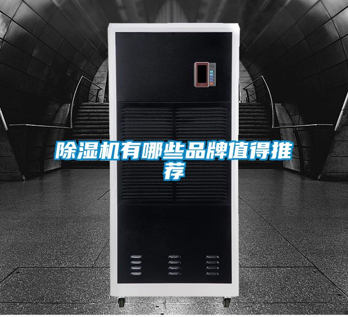 茄子视频懂你更多在线观看有哪些品牌值得推荐