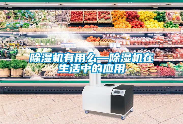 茄子视频懂你更多在线观看有用么—茄子视频懂你更多在线观看在生活中的应用