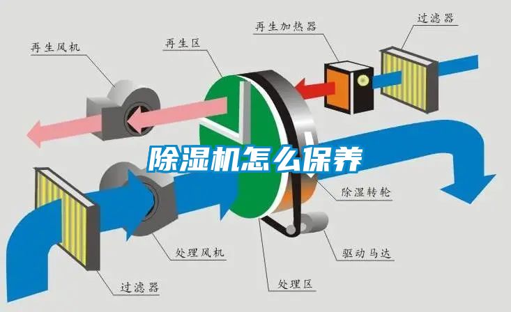 茄子视频懂你更多在线观看怎么保养