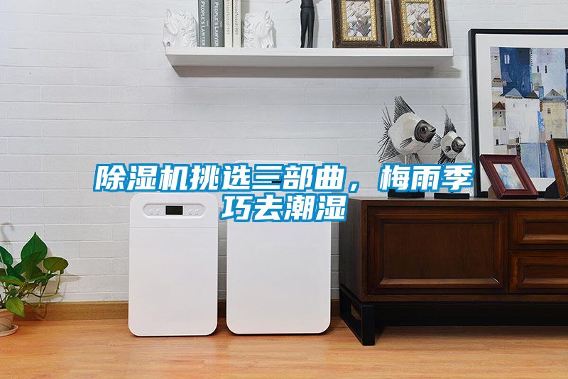 茄子视频懂你更多在线观看挑选三部曲，梅雨季巧去潮湿