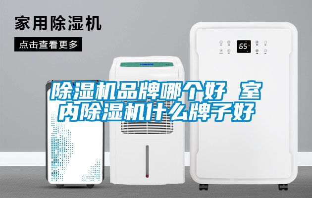 茄子视频懂你更多在线观看品牌哪个好 室内茄子视频懂你更多在线观看什么牌子好