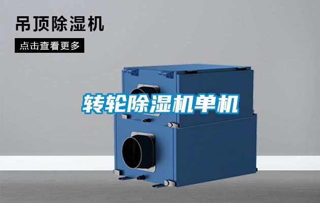 转轮茄子视频懂你更多在线观看单机