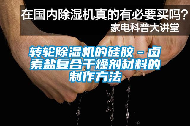 转轮茄子视频懂你更多在线观看的硅胶－卤素盐复合干燥剂材料的制作方法