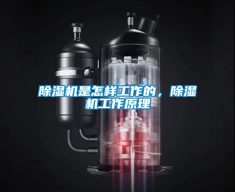 茄子视频懂你更多在线观看是怎样工作的，茄子视频懂你更多在线观看工作原理