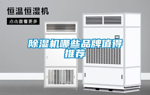 茄子视频懂你更多在线观看哪些品牌值得推荐