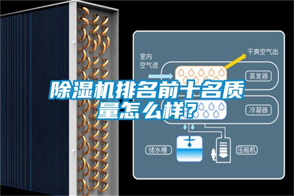 茄子视频懂你更多在线观看排名前十名质量怎么样？