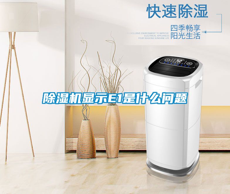 茄子视频懂你更多在线观看显示E1是什么问题