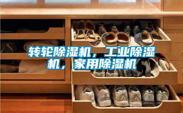 转轮茄子视频懂你更多在线观看，工业茄子视频懂你更多在线观看，家用茄子视频懂你更多在线观看
