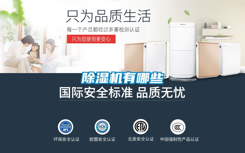 茄子视频懂你更多在线观看有哪些