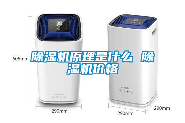 茄子视频懂你更多在线观看原理是什么 茄子视频懂你更多在线观看价格