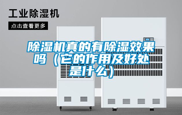 茄子视频懂你更多在线观看真的有除湿效果吗（它的作用及好处是什么）