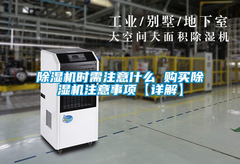茄子视频懂你更多在线观看时需注意什么 购买茄子视频懂你更多在线观看注意事项【详解】