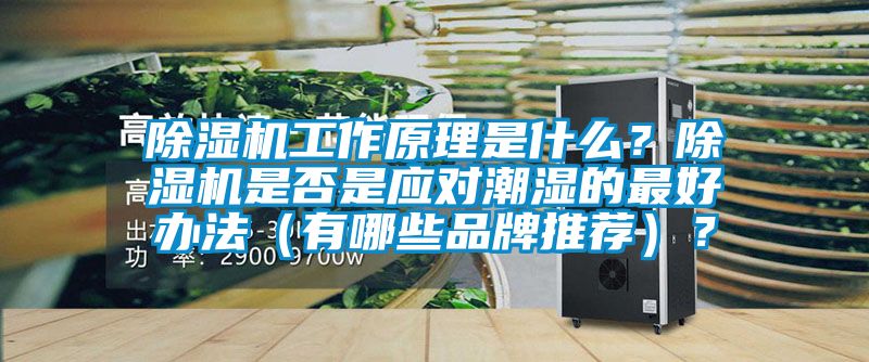 茄子视频懂你更多在线观看工作原理是什么？茄子视频懂你更多在线观看是否是应对潮湿的最好办法（有哪些品牌推荐）？