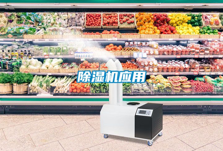 茄子视频懂你更多在线观看应用