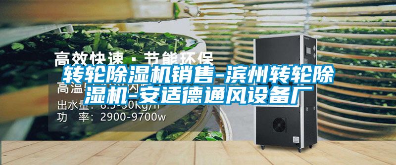 转轮茄子视频懂你更多在线观看销售-滨州转轮茄子视频懂你更多在线观看-安适德通风设备厂
