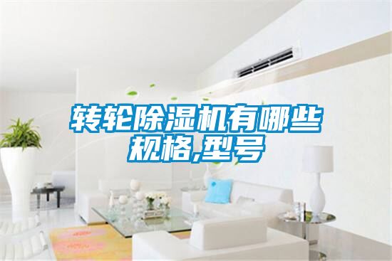 转轮茄子视频懂你更多在线观看有哪些规格,型号