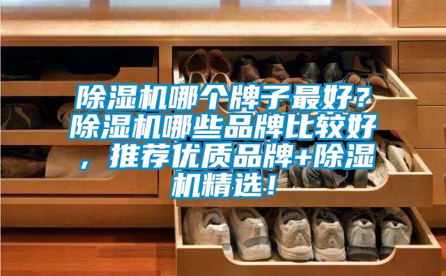 茄子视频懂你更多在线观看哪个牌子最好？茄子视频懂你更多在线观看哪些品牌比较好，推荐优质品牌+茄子视频懂你更多在线观看精选！