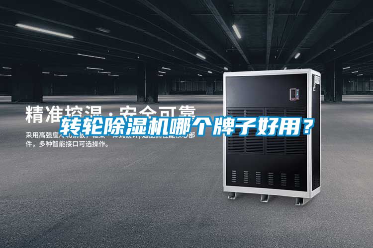 转轮茄子视频懂你更多在线观看哪个牌子好用？