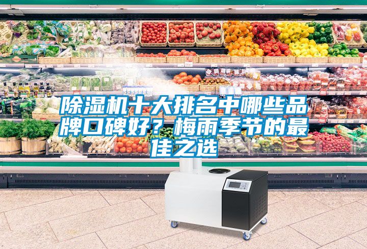茄子视频懂你更多在线观看十大排名中哪些品牌口碑好？梅雨季节的最佳之选