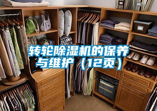 转轮茄子视频懂你更多在线观看的保养与维护（12页）