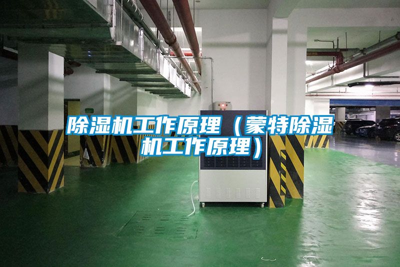 茄子视频懂你更多在线观看工作原理（蒙特茄子视频懂你更多在线观看工作原理）
