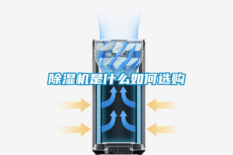 茄子视频懂你更多在线观看是什么如何选购