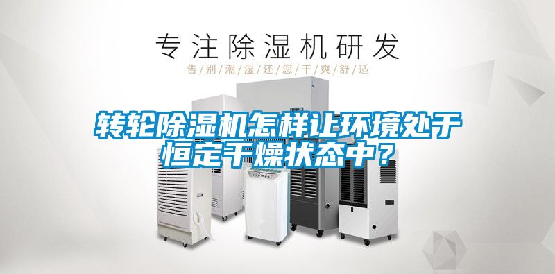转轮茄子视频懂你更多在线观看怎样让环境处于恒定干燥状态中？