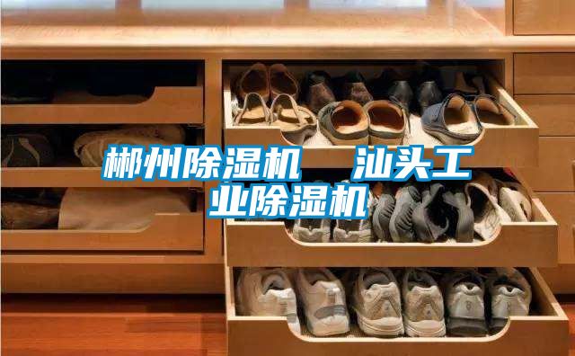 郴州茄子视频懂你更多在线观看  汕头工业茄子视频懂你更多在线观看