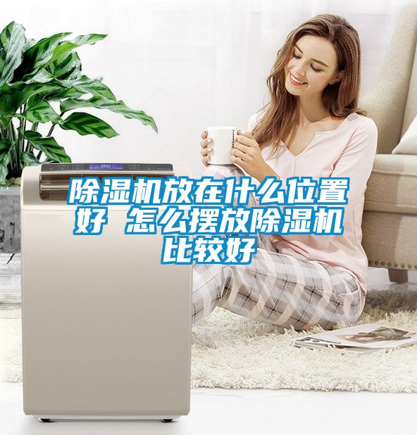 茄子视频懂你更多在线观看放在什么位置好 怎么摆放茄子视频懂你更多在线观看比较好