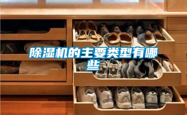茄子视频懂你更多在线观看的主要类型有哪些