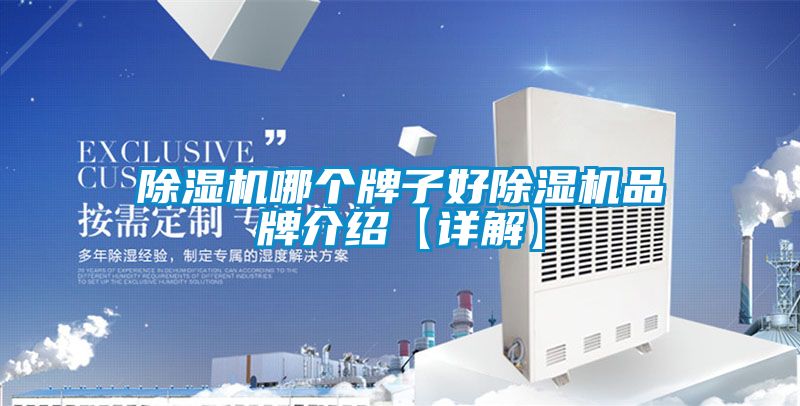 茄子视频懂你更多在线观看哪个牌子好茄子视频懂你更多在线观看品牌介绍【详解】