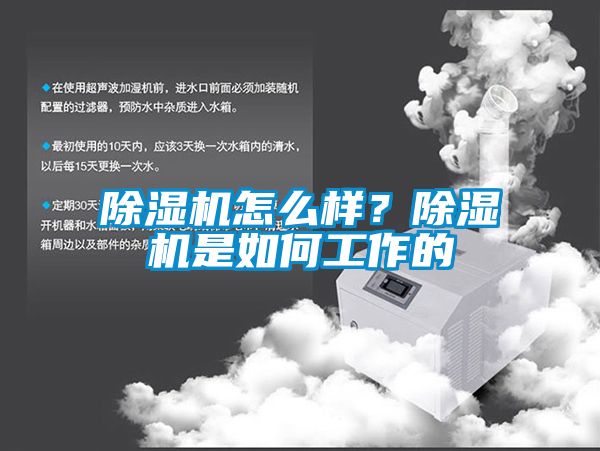 茄子视频懂你更多在线观看怎么样？茄子视频懂你更多在线观看是如何工作的
