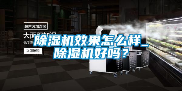 茄子视频懂你更多在线观看效果怎么样_茄子视频懂你更多在线观看好吗？