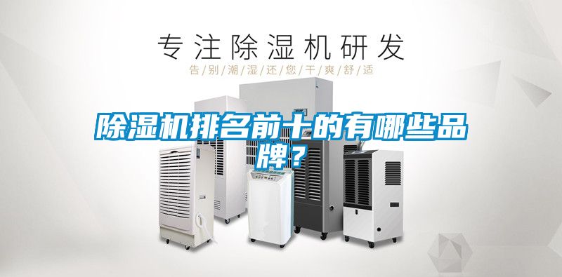 茄子视频懂你更多在线观看排名前十的有哪些品牌？