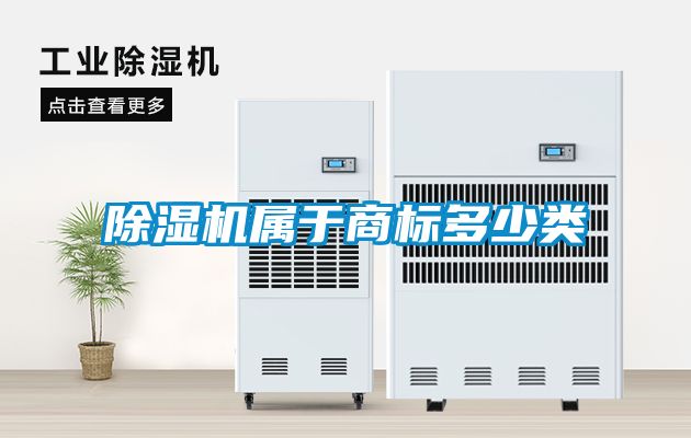 茄子视频懂你更多在线观看属于商标多少类