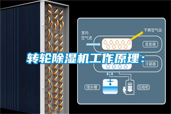 转轮茄子视频懂你更多在线观看工作原理：