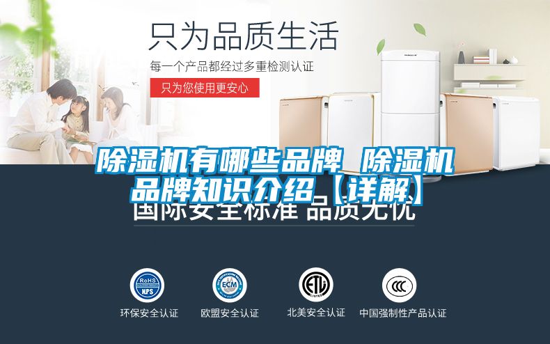 茄子视频懂你更多在线观看有哪些品牌 茄子视频懂你更多在线观看品牌知识介绍【详解】