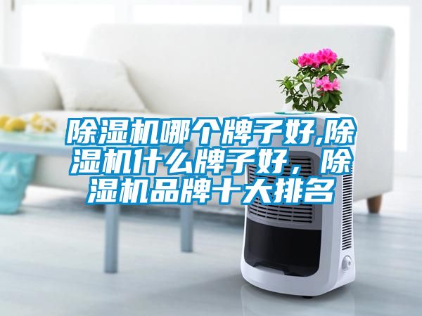 茄子视频懂你更多在线观看哪个牌子好,茄子视频懂你更多在线观看什么牌子好，茄子视频懂你更多在线观看品牌十大排名