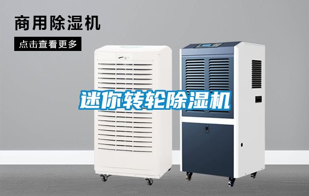 迷你转轮茄子视频懂你更多在线观看
