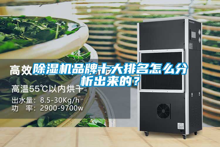 茄子视频懂你更多在线观看品牌十大排名怎么分析出来的？