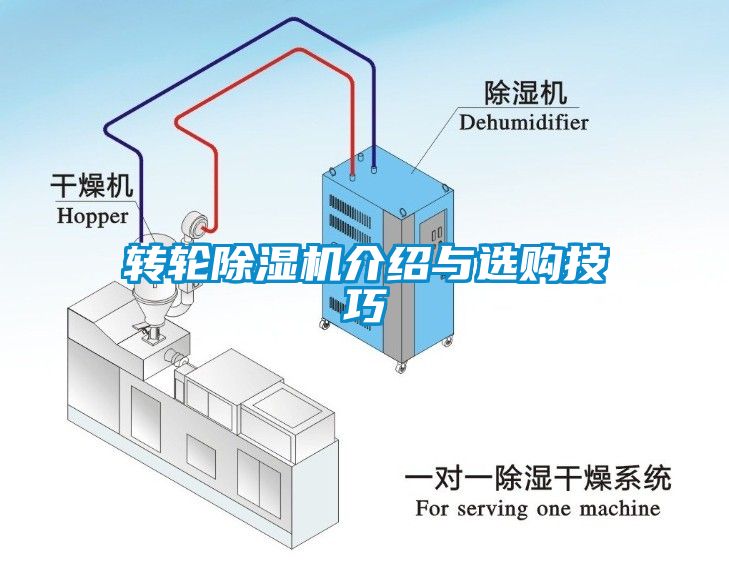 转轮茄子视频懂你更多在线观看介绍与选购技巧
