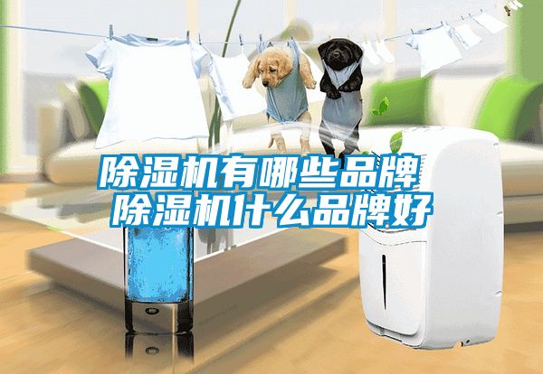 茄子视频懂你更多在线观看有哪些品牌 茄子视频懂你更多在线观看什么品牌好
