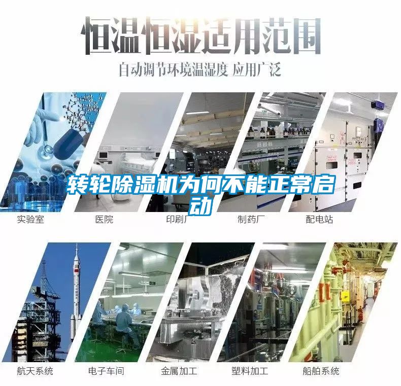 转轮茄子视频懂你更多在线观看为何不能正常启动