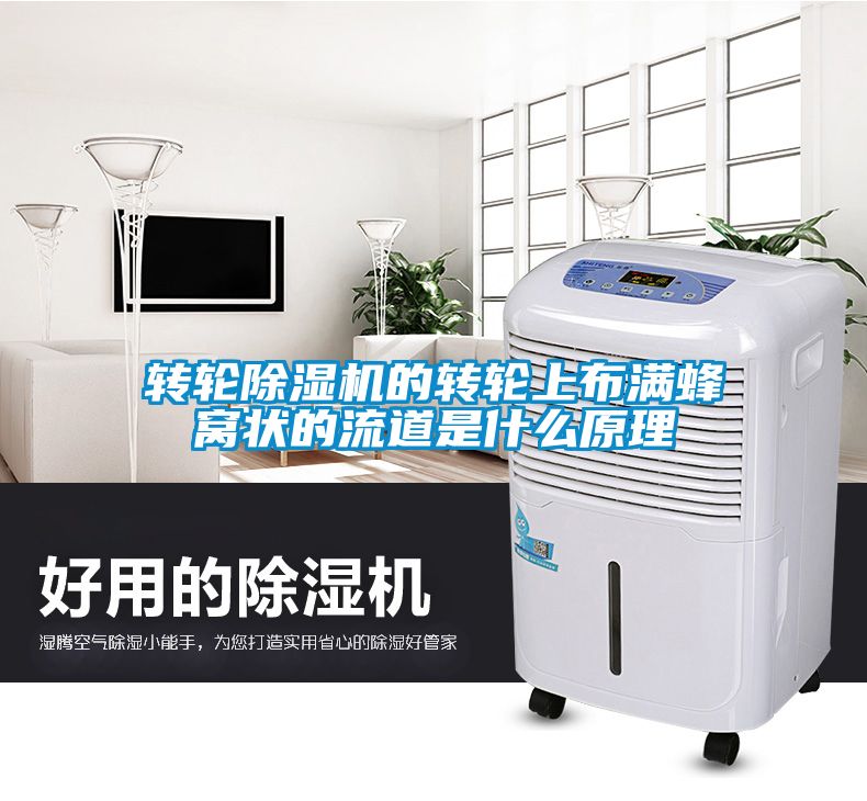 转轮茄子视频懂你更多在线观看的转轮上布满蜂窝状的流道是什么原理