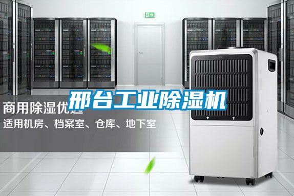 邢台工业茄子视频懂你更多在线观看