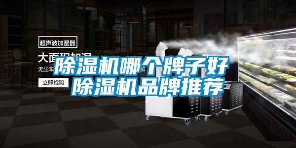 茄子视频懂你更多在线观看哪个牌子好 茄子视频懂你更多在线观看品牌推荐